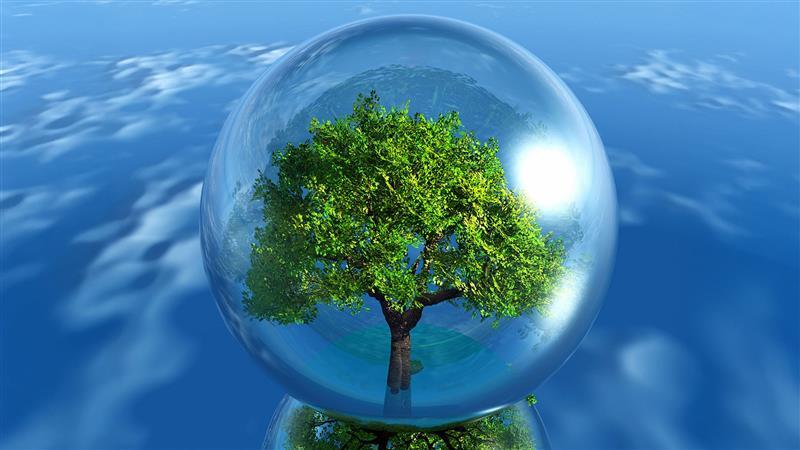 The Inflation of Everything… Except Integrity